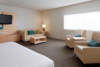 Room, 1 King Bed
