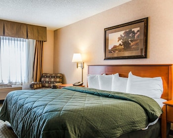 Standard Room, 1 King Bed, Non Smoking