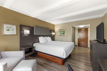 Standard Room, 1 King Bed, Non Smoking, Refrigerator & Microwave