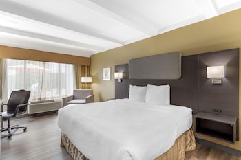 Standard Room, 1 King Bed, Accessible, Refrigerator & Microwave
