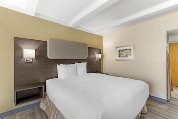 Standard Room, 1 King Bed, Accessible, Refrigerator & Microwave