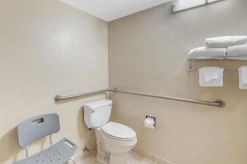 Standard Room, 1 King Bed, Accessible, Refrigerator & Microwave