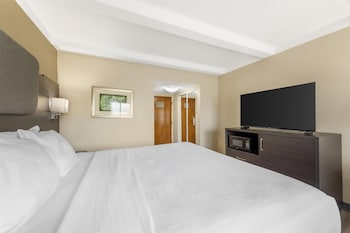 Standard Room, 1 King Bed, Non Smoking, Refrigerator & Microwave