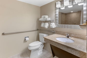 Standard Room, 1 King Bed, Accessible, Refrigerator & Microwave
