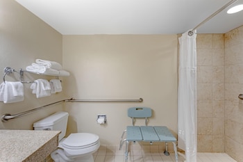 Standard Room, 1 King Bed, Accessible, Refrigerator & Microwave, Exterior Access