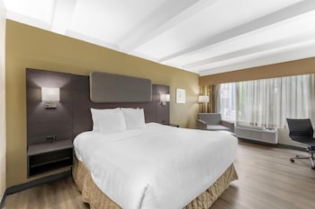 Standard Room, 1 King Bed, Accessible, Refrigerator & Microwave, Exterior Access
