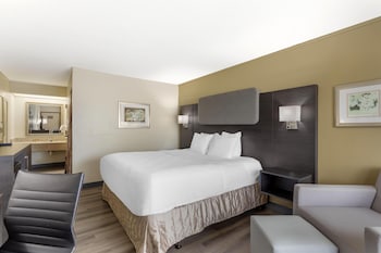 Standard Room, 1 King Bed, Accessible, Refrigerator & Microwave, Exterior Access