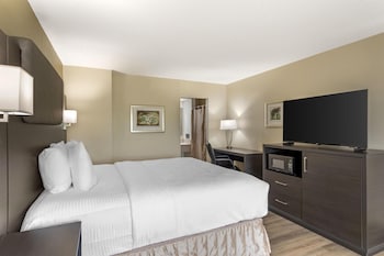 Standard Room, 1 King Bed, Non Smoking, Refrigerator & Microwave, Exterior Access
