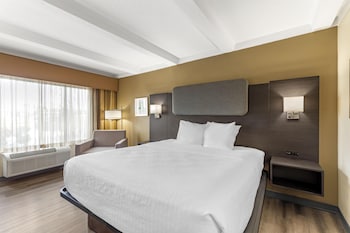 Standard Room, 1 King Bed, Non Smoking, Refrigerator & Microwave