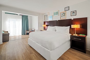 Deluxe Room, 1 King Bed, Roll-in Shower