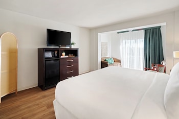 Deluxe Room, 1 King Bed, Roll-in Shower
