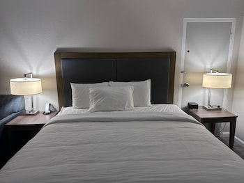 Standard Room, 1 King Bed, Accessible, Non Smoking