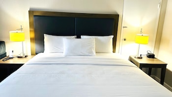 Standard Room, 1 King Bed, Accessible, Non Smoking
