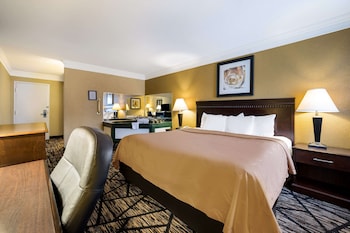 Standard Room, 1 King Bed, Non Smoking
