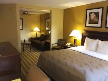 Suite, 1 King Bed with Sofa bed, Non Smoking