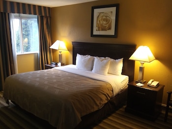 Suite, 1 King Bed with Sofa bed, Non Smoking
