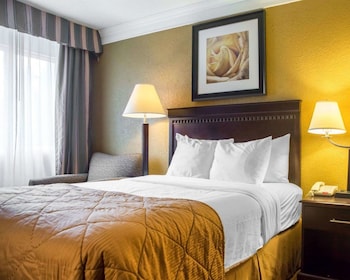 Standard Room, 2 Double Beds, Non Smoking