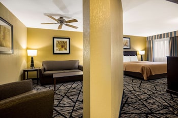 Suite, 1 King Bed with Sofa bed, Non Smoking