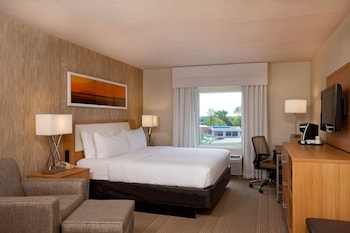 Standard Room, 1 King Bed with Sofa bed