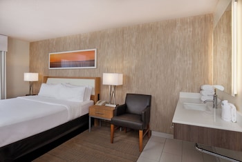 Standard Room, 1 King Bed, Accessible (Communications, Roll-In Shower)
