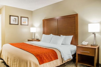 Room, 1 King Bed, Non Smoking