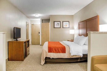 Room, 1 King Bed, Non Smoking