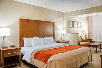 Room, 1 King Bed, Non Smoking