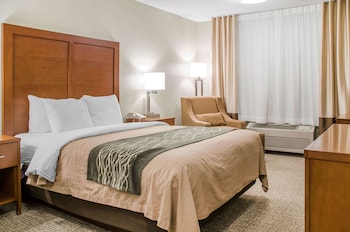 Room, 1 Queen Bed, Accessible, Non Smoking