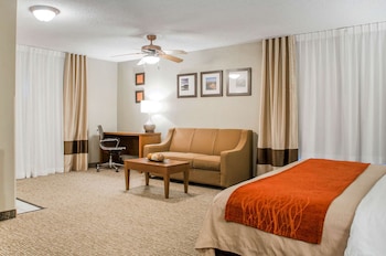Suite, 1 King Bed with Sofa bed, Non Smoking, Hot Tub (2 Person)