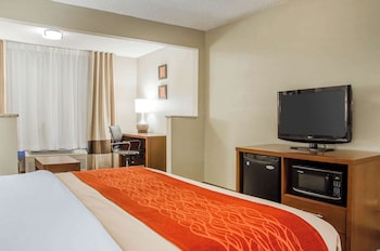 Room, 1 King Bed, Non Smoking