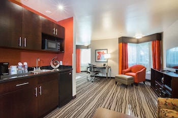 Suite, 1 King Bed