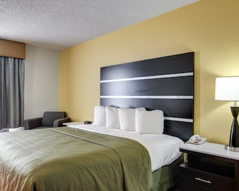Standard Room, 1 King Bed, Non Smoking