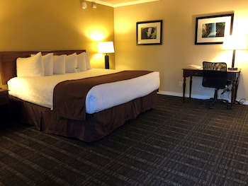Deluxe Room, 1 King Bed, Non Smoking, Refrigerator & Microwave
