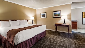 Standard Room, 1 King Bed, Accessible, Non Smoking
