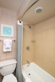 Premium Room, 1 King Bed, Refrigerator & Microwave, Park View