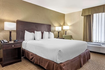 Standard Room, 1 King Bed, Non Smoking, Refrigerator & Microwave
