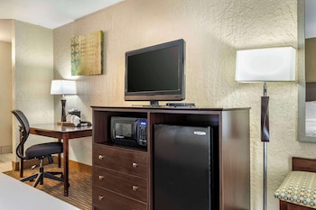 Standard Room, 1 King Bed, Non Smoking, Refrigerator & Microwave
