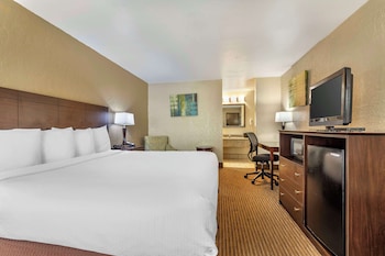 Standard Room, 1 King Bed, Non Smoking, Refrigerator & Microwave