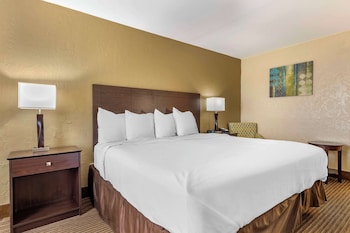 Standard Room, 1 King Bed, Non Smoking, Refrigerator & Microwave