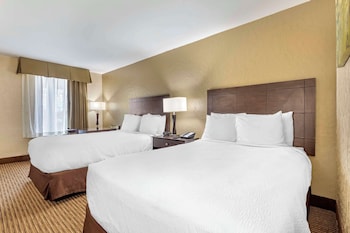 Standard Room, 2 Double Beds, Smoking, Refrigerator & Microwave