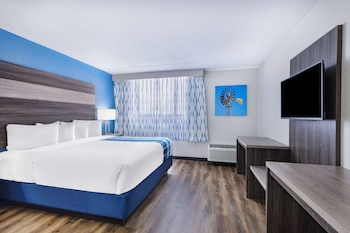 Room, 1 King Bed, Non Smoking