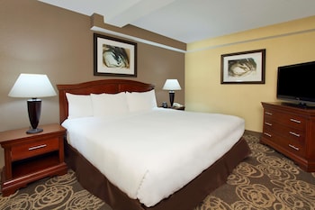 Room, 1 King Bed, Accessible, Non Smoking (Mobility & Hearing, Bathtub)