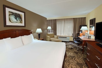 Room, 1 King Bed, Non Smoking