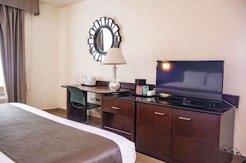 Standard Room, 1 King Bed, Accessible, Non Smoking