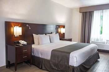 Standard Room, 1 King Bed, Accessible, Non Smoking