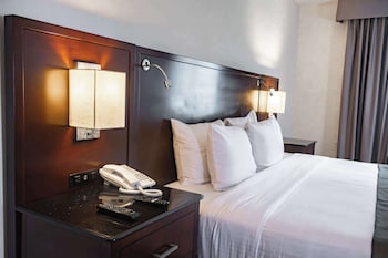 Standard Room, 1 King Bed, Accessible, Non Smoking