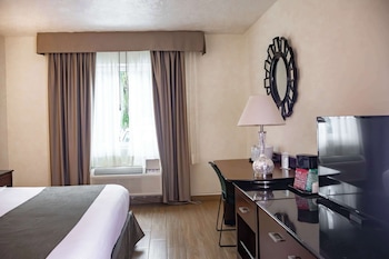 Standard Room, 1 King Bed, Accessible, Non Smoking