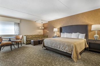 Standard Room, 1 King Bed, Non Smoking (Oversized Room;with Sofabed)