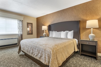 Suite, 1 King Bed, Non Smoking, Refrigerator & Microwave (with Sofabed)