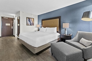 Room, 1 King Bed